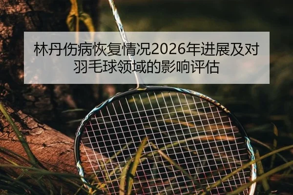lin-dan-shang-bing-hui-fu-qing-kuang-nian-jin-zhan-ji-dui-yu-mao-qiu-ling-yu-de-ying-xiang-ping-gu-2-994.jpg